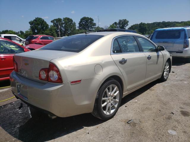 1G1ZK57719F208487 - 2009 CHEVROLET MALIBU LTZ Qızıl foto 3