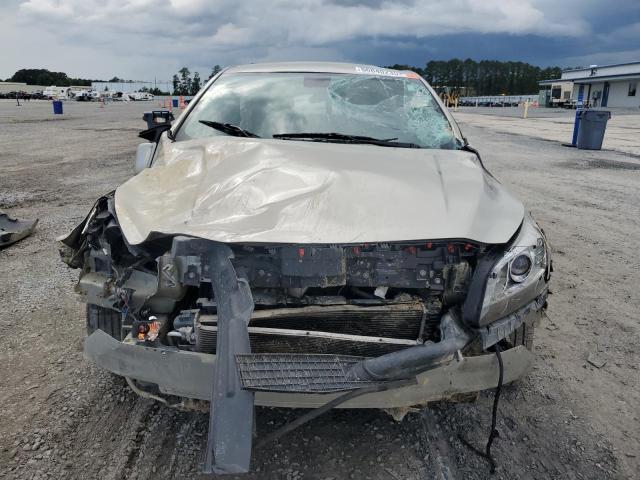 1G11C5SA9GF146203 - 2016 CHEVROLET MALIBU LIM LT 金色 照片 5