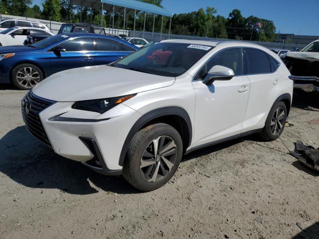 JTJYARBZ6K2151882 - 2019 LEXUS NX 300 BASE Ağ foto 1
