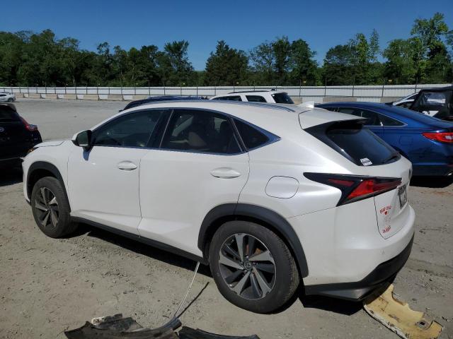 JTJYARBZ6K2151882 - 2019 LEXUS NX 300 BASE Ağ foto 2