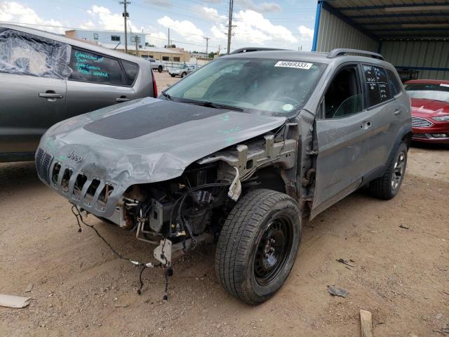 1C4PJMBX0KD415652 - 2019 JEEP CHEROKEE TRAILHAWK GRAY photo 1