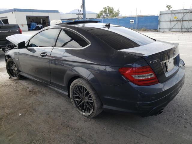 WDDGJ4HB2DG087346 - 2013 MERCEDES-BENZ C 250 GRAY photo 2