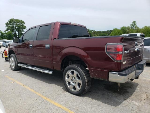 1FTFW1CV0AFC64565 - 2010 FORD F150 SUPERCREW MAROON photo 2