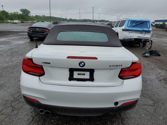 WBA2K1C52JVD41470 - 2018 BMW 230XI WHITE photo 6