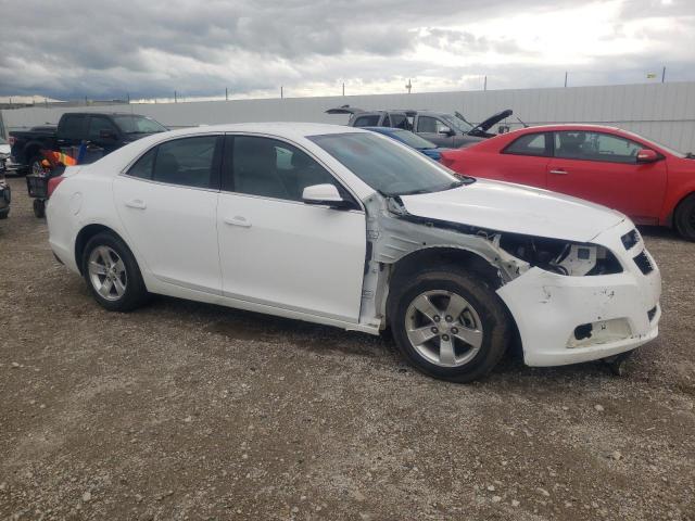 1G11C5SAXDF229392 - 2013 CHEVROLET MALIBU 1LT 白色 照片 4