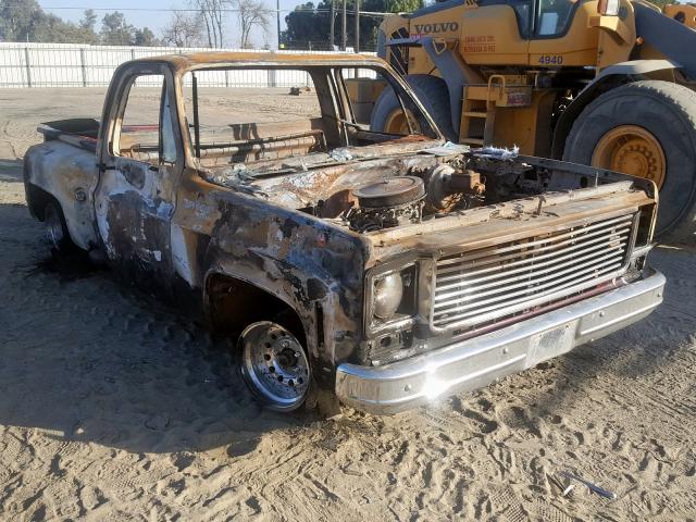 CCL148Z166658 - 1978 CHEVROLET C-10  photo 1