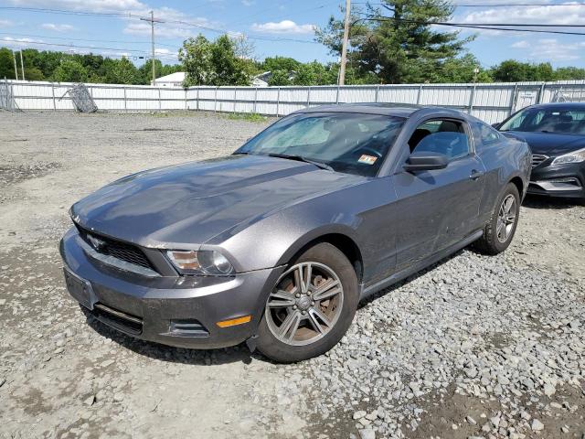 1ZVBP8AM6B5167048 - 2011 FORD MUSTANG SILVER photo 1