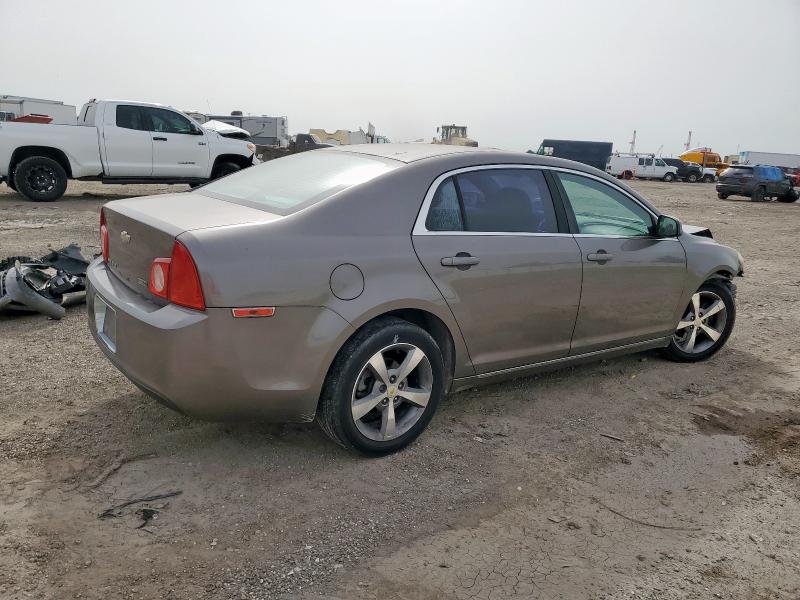 1G1ZC5EU3BF358807 - 2011 CHEVROLET MALIBU 1LT BEIGE photo 3