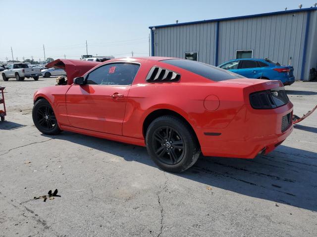 1ZVBP8AM9E5315066 - 2014 FORD MUSTANG RED photo 2