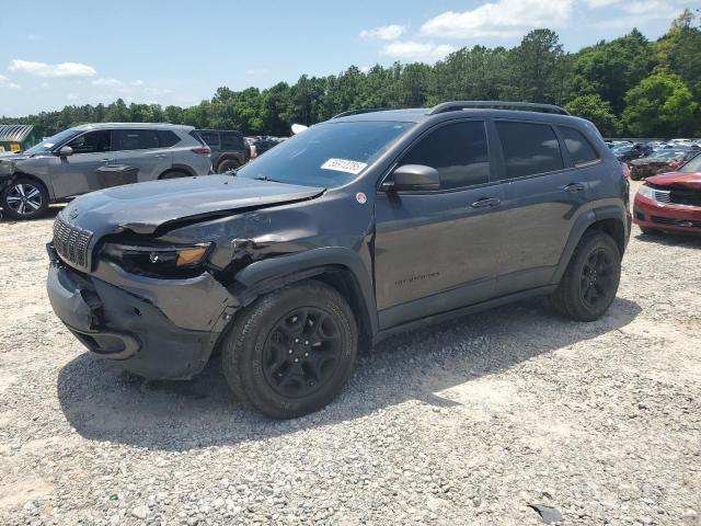 1C4PJMBX5KD278692 - 2019 JEEP CHEROKEE TRAILHAWK GRAY photo 1