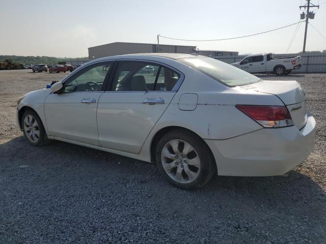 1HGCP36838A056822 - 2008 HONDA ACCORD EXL WHITE photo 2
