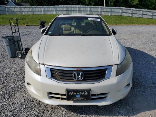 1HGCP36838A056822 - 2008 HONDA ACCORD EXL WHITE photo 5