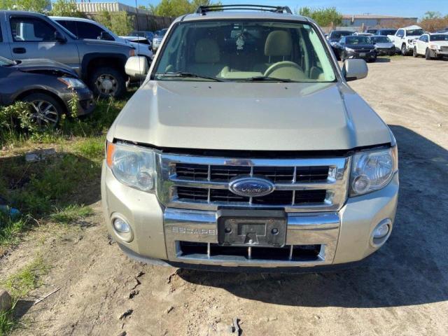 1FMCU9EGXAKA51292 - 2010 FORD ESCAPE LIMITED 棕色 照片 5