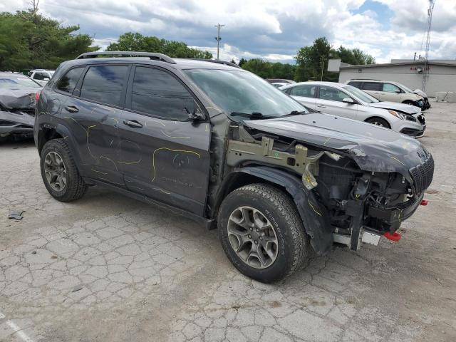 1C4PJMBX2LD504253 - 2020 JEEP CHEROKEE TRAILHAWK Boz foto 4