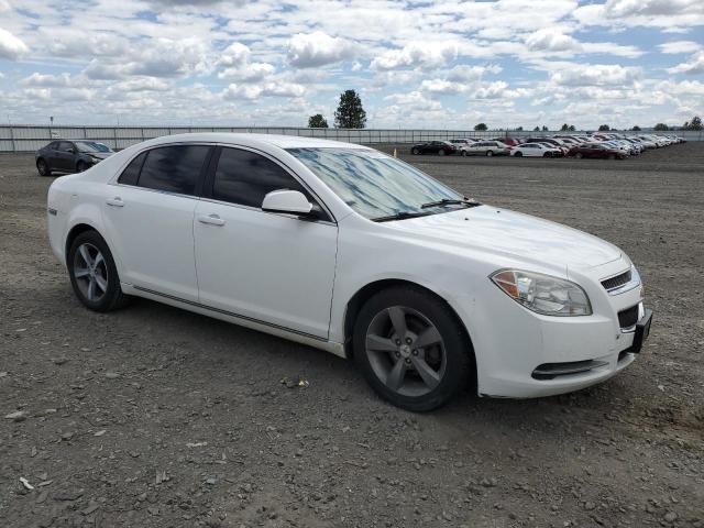 1G1ZC5E19BF162246 - 2011 CHEVROLET MALIBU 1LT WHITE photo 4