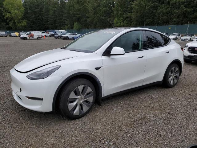 2023 TESLA MODEL Y, null