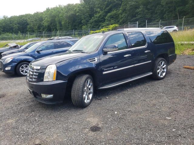1GYFK26239R106051 - 2009 CADILLAC ESCALADE ESV LUXURY BLUE photo 1