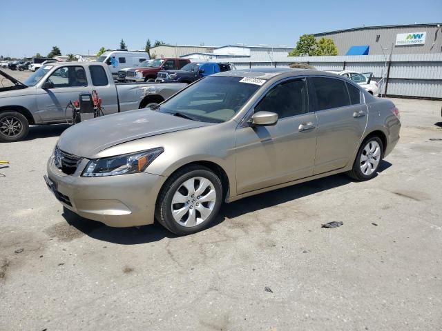2008 HONDA ACCORD EXL, null
