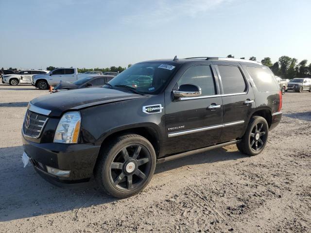 1GYS3EEJ7CR173569 - 2012 CADILLAC ESCALADE HYBRID BLACK photo 1