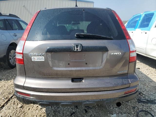 5J6RE4H49BL033923 - 2011 HONDA CR-V SE GRAY photo 6