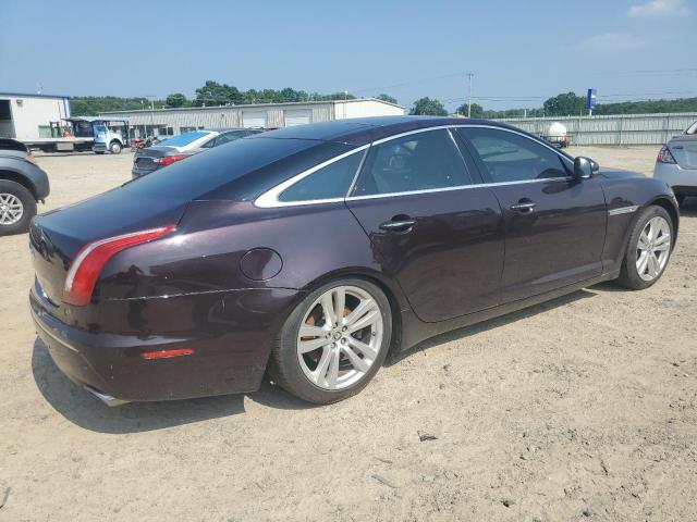 SAJWA1CBXBLV08439 - 2011 JAGUAR XJ PURPLE photo 3