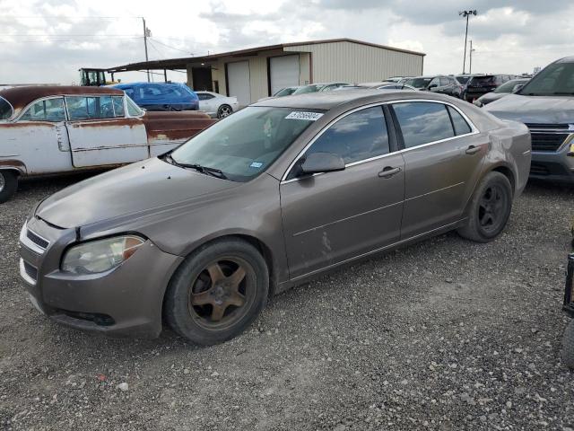 1G1ZC5E18BF116231 - 2011 CHEVROLET MALIBU 1LT 棕色 照片 1