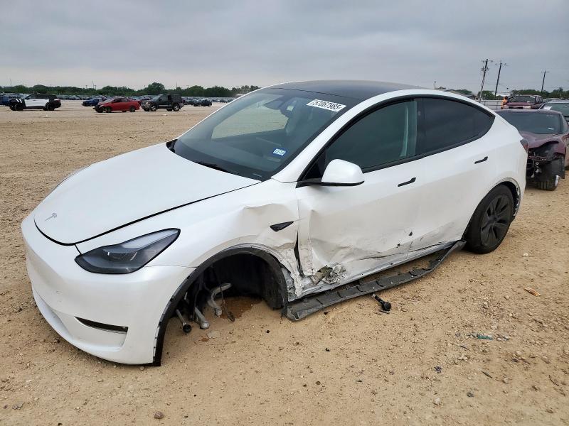 2025 TESLA MODEL Y, null