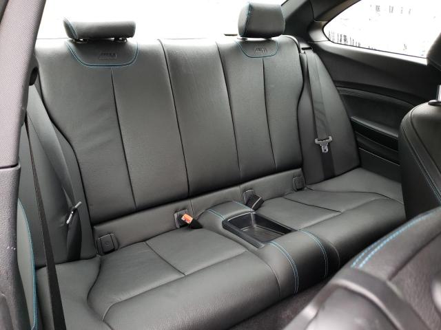 WBS1H9C52GV351930 - 2016 BMW M2 BLUE photo 10