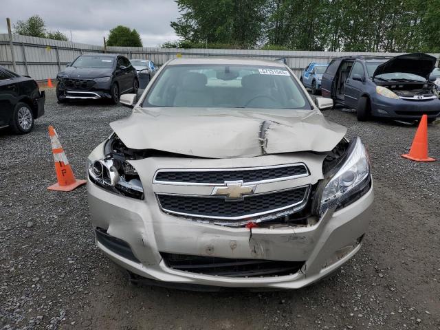 1G11C5SA4DF316463 - 2013 CHEVROLET MALIBU 1LT GOLD photo 5