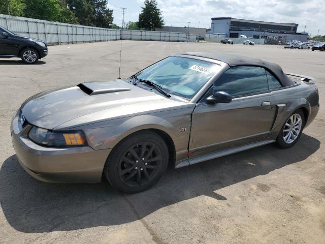 2002 FORD MUSTANG GT, null
