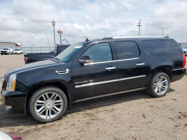 1GYS4KEF3ER242400 - 2014 CADILLAC ESCALADE ESV PLATINUM შავი ფოტო 1