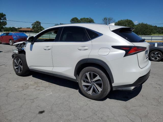 JTJYARBZ8K2137899 - 2019 LEXUS NX 300 BASE Blanc photo 2