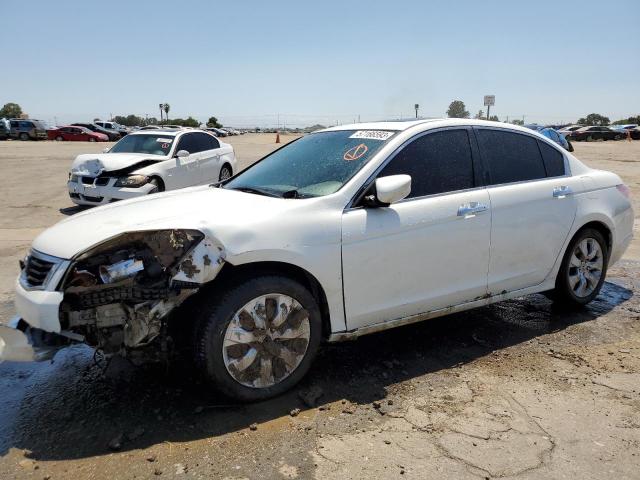 1HGCP36828A051319 - 2008 HONDA ACCORD EXL WHITE photo 1