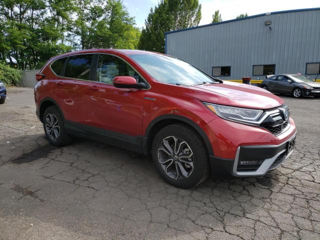 5J6RT6H89NL033025 - 2022 HONDA CR-V EXL BURGUNDY photo 4