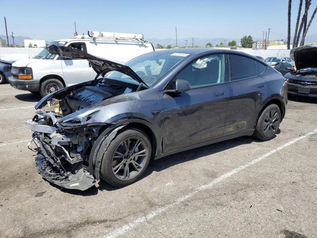 2024 TESLA MODEL Y, null