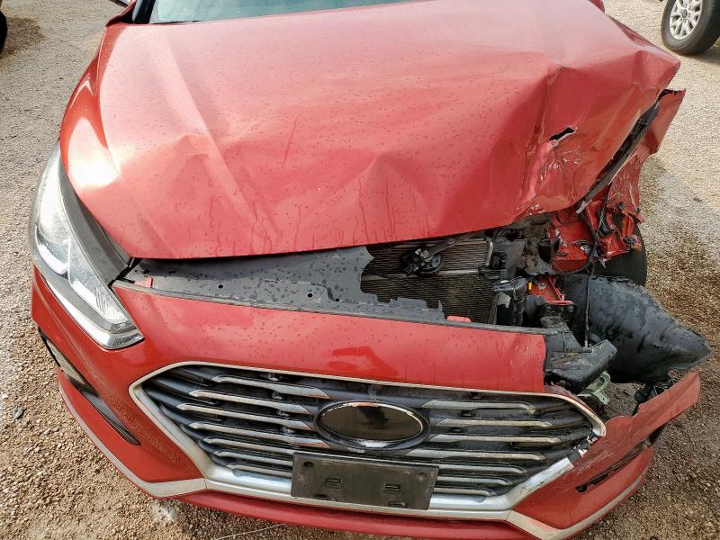 5NPE24AF8KH816888 - 2019 HYUNDAI SONATA SE 红色 照片 11