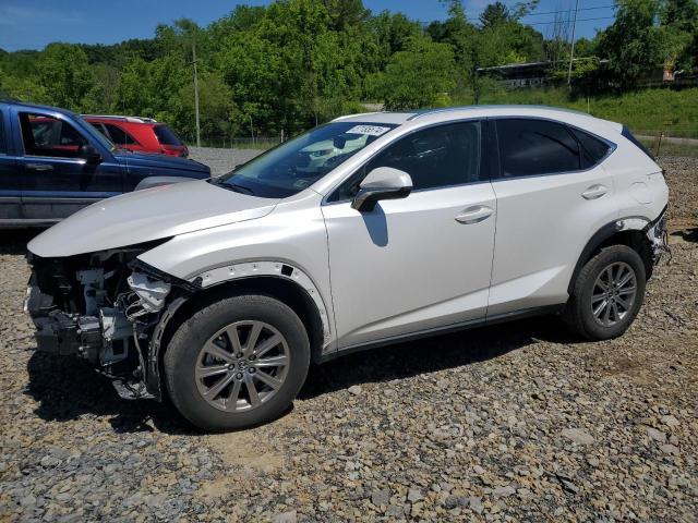 JTJDARDZ9M5027442 - 2021 LEXUS NX 300 BASE თეთრი ფოტო 1