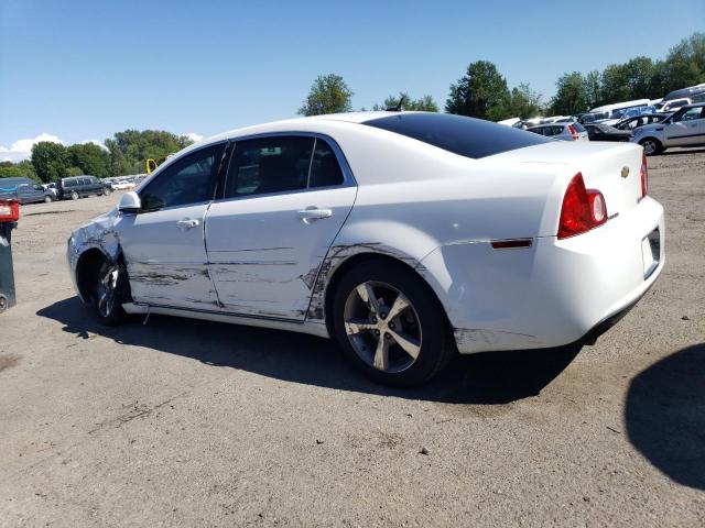 1G1ZF57529F117960 - 2009 CHEVROLET MALIBU HYBRID WHITE photo 2