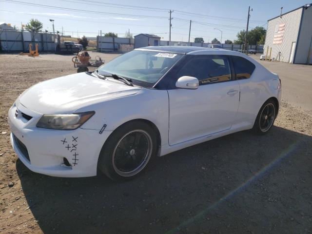 JTKJF5C78B3007670 - 2011 SCION TC WHITE photo 1