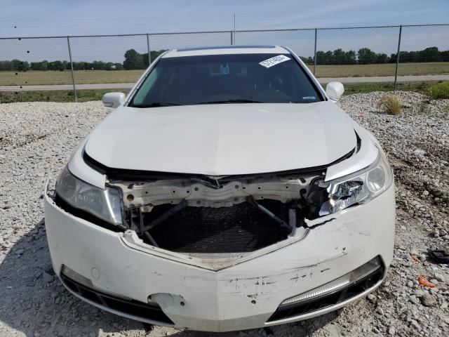 19UUA96559A003328 - 2009 ACURA TL WHITE photo 5