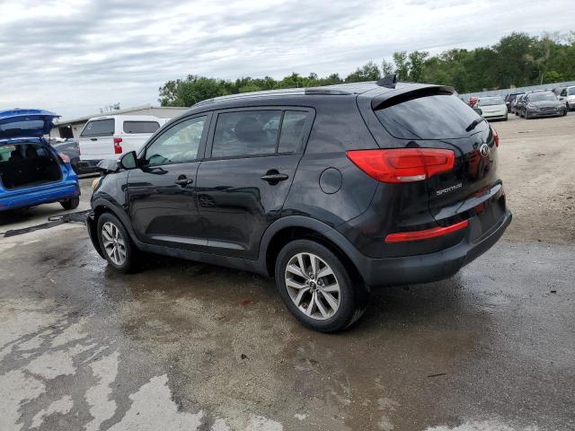 KNDPB3AC4E7579835 - 2014 KIA SPORTAGE BASE BLACK photo 2