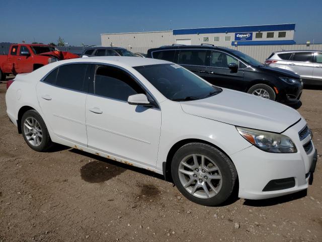1G11C5SA9DF217170 - 2013 CHEVROLET MALIBU 1LT 白色 照片 4