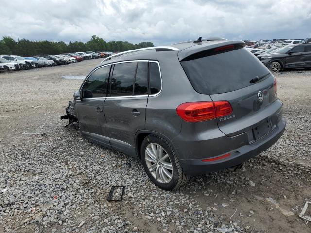 WVGAV3AX6EW619592 - 2014 VOLKSWAGEN TIGUAN S GRAY photo 2