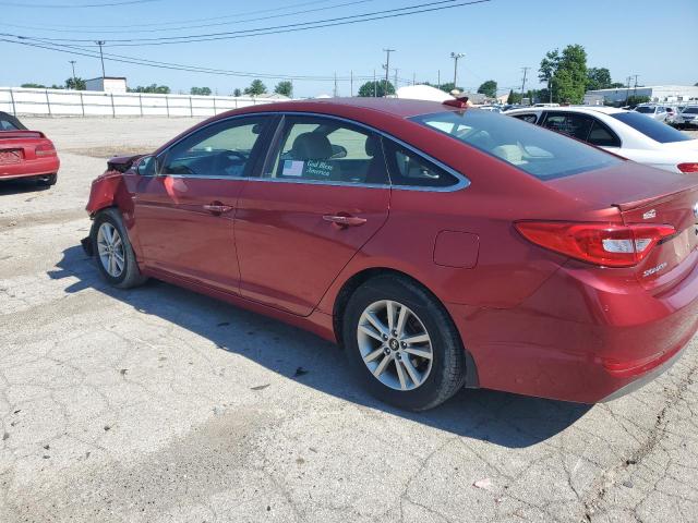 5NPE24AA6FH143092 - 2015 HYUNDAI SONATA ECO RED photo 2