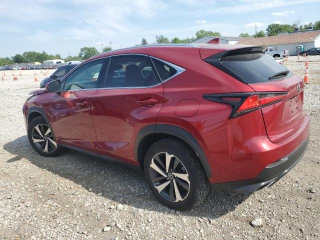 JTJGARDZ8M5022360 - 2021 LEXUS NX 300 BASE ბურგუნდია ფოტო 2