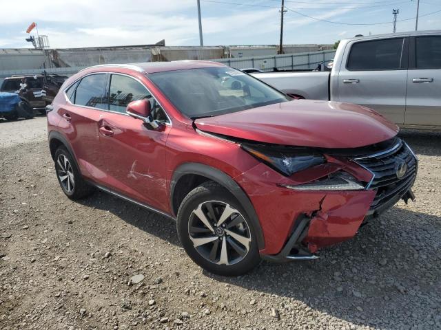 JTJGARDZ8M5022360 - 2021 LEXUS NX 300 BASE ბურგუნდია ფოტო 4