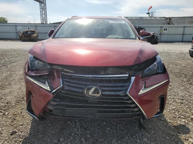 JTJGARDZ8M5022360 - 2021 LEXUS NX 300 BASE ბურგუნდია ფოტო 5