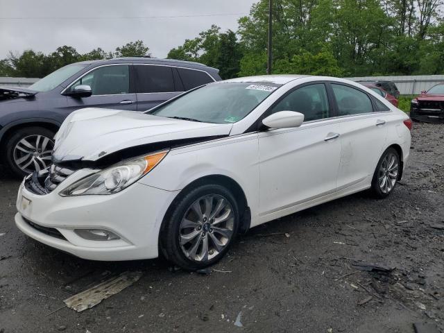 2013 HYUNDAI SONATA SE, 