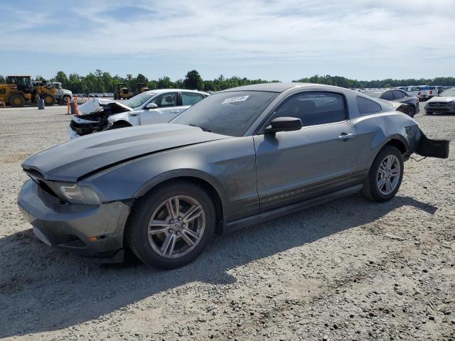 2010 FORD MUSTANG, null