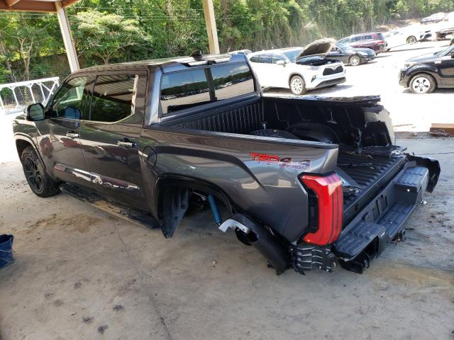 5TFMC5DB4PX013272 - 2023 TOYOTA TUNDRA CREWMAX PLATINUM Grau Foto 2